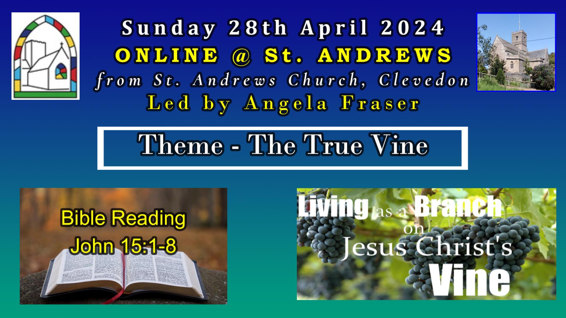 St Andrew's Online: The Vine and the Branches