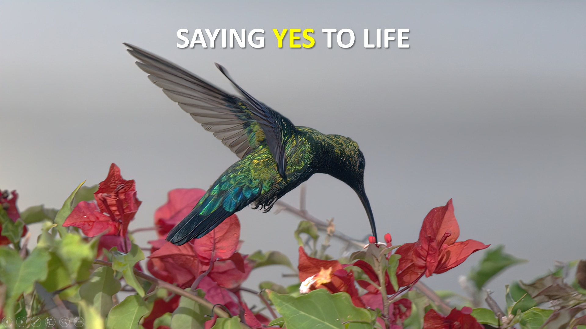 Saying Yes to Life follow-up m