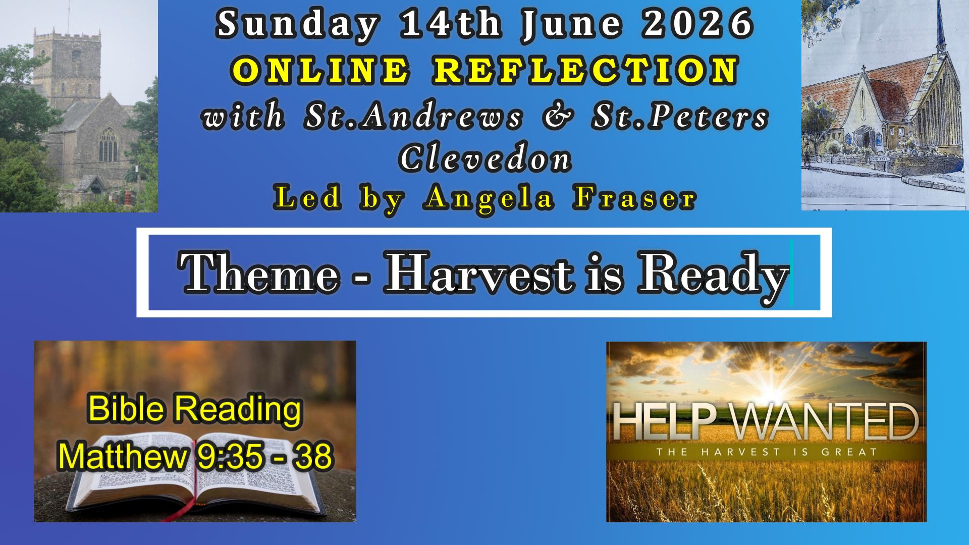 St Andrew's Online: Harvest is ready
